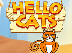 Hello Cats Online