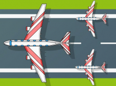 Flight Survival