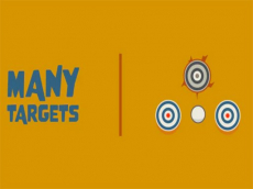 Many Targets