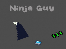 Ninja Guy