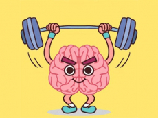 Perfect Brain 3D Puzzle